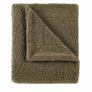 Teddy Throw Blanket