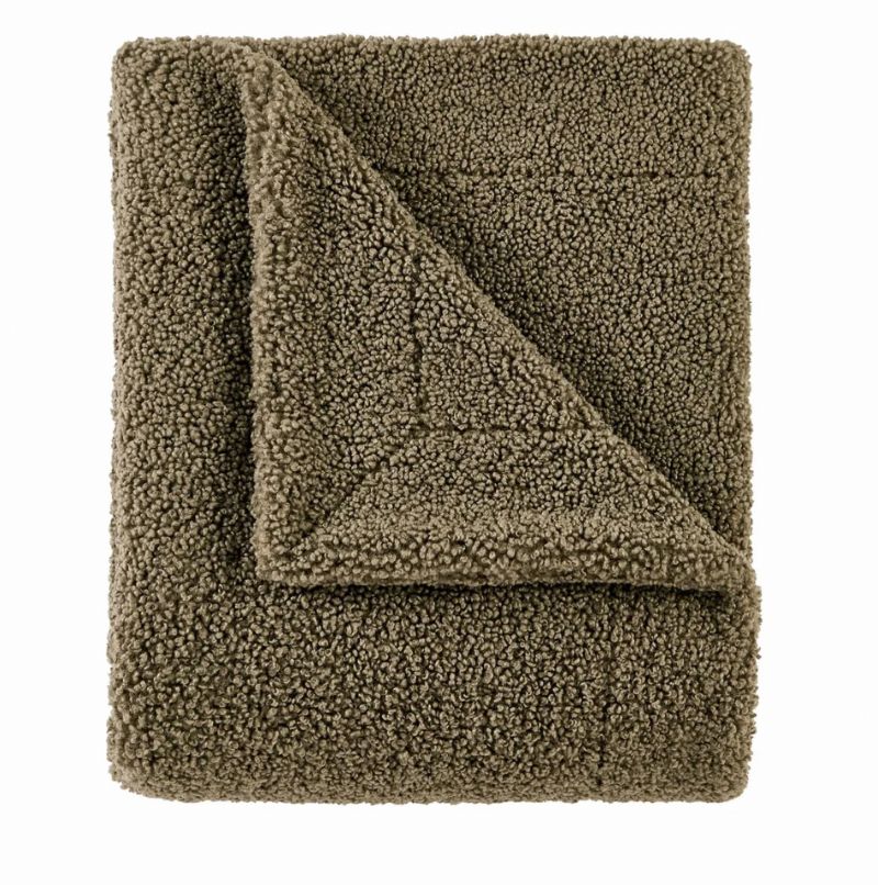 Teddy Throw Blanket